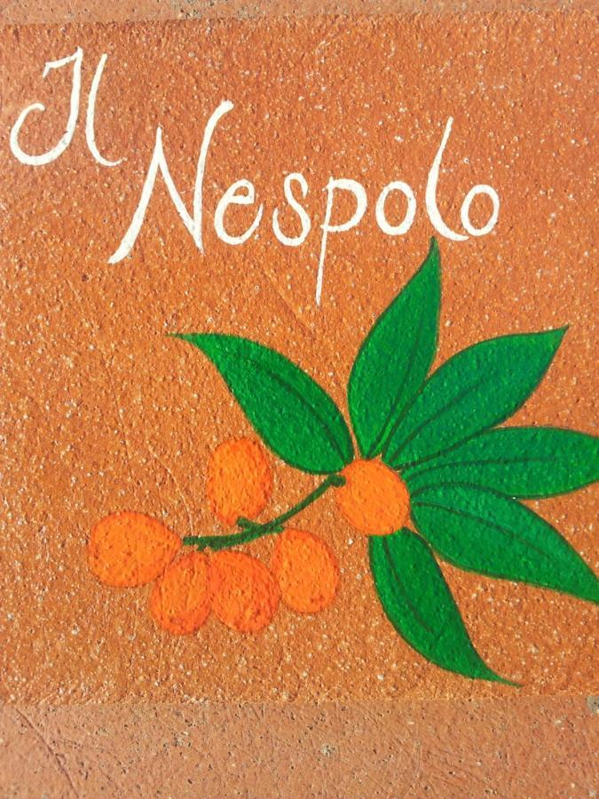 Appartamento Il Nespolo بومونته المظهر الخارجي الصورة